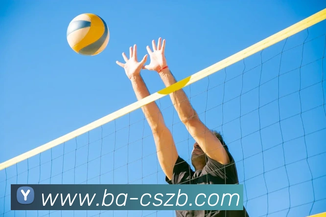 彩神争霸平台生态图